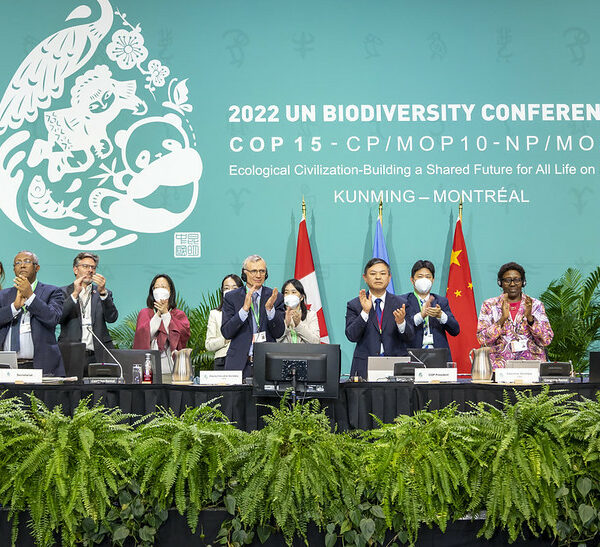 COP15 : Accord historique en faveur de la nature d’ici à 2030